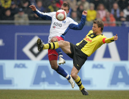 能窥见类似 能窥见类似